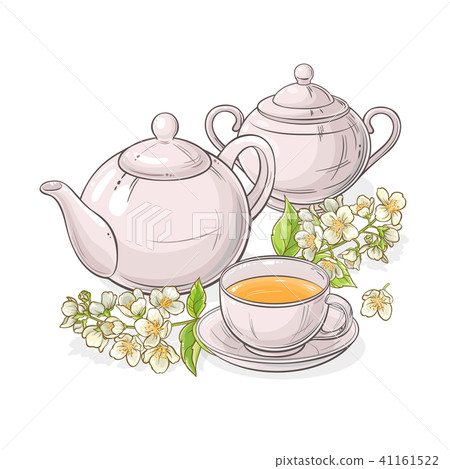 jasmine tea vector illustration 41161522