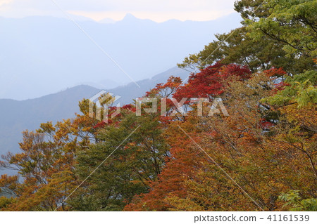 Otagichigahara Otagichigahara 41161539
