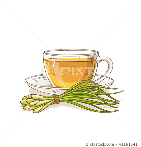 lemongrass tea illustration 41161541