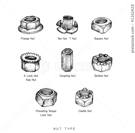 Hand Drawn Sketch Set of Nuts Type Hand Drawn Sketch Set of Nuts Type 41162628