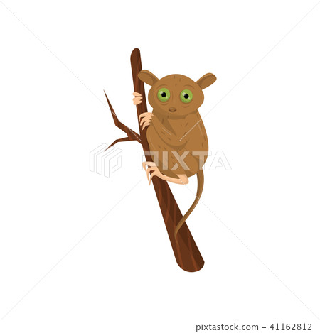 Flat vector icon of tarsier sitting on tree branch. Small brown primate with large green eyes, long 41162812