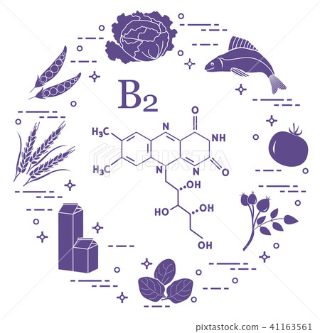 Foods rich in vitamin B2 Fish, peas and other. 41163561