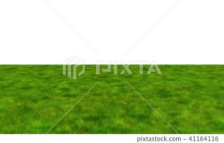 Lush grass field on white background, 3d Lush grass field on white background, 3d 41164116