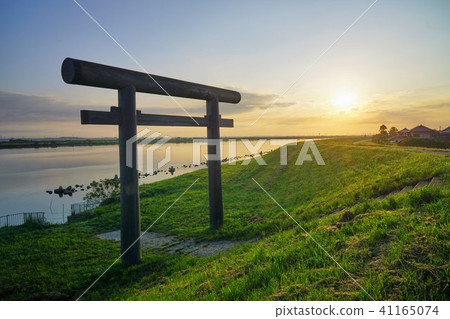 千葉縣泉屋鳥居的朝日 41165074
