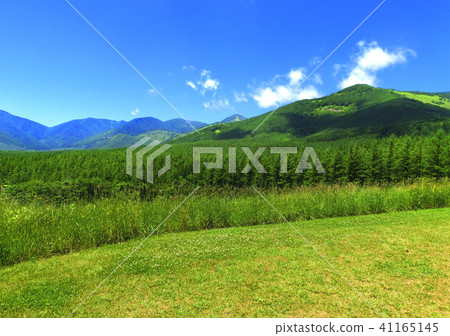 北海道十勝的自然風光 41165145