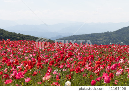 The sky of the sky 41165406