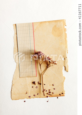 vintage paper background vintage paper background 41167711