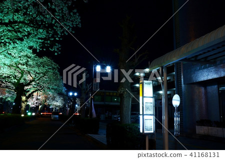 夜景 夜景 41168131