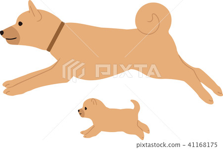 一隻獵狗的父母和孩子 一隻獵狗的父母和孩子 41168175