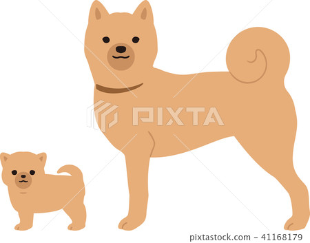 Puppy and parent dog 41168179