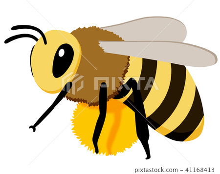一隻蜜蜂 一隻蜜蜂 41168413