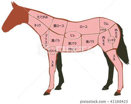 馬部分 41168423