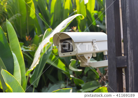 CCTV Camera operating in the garden resort. 41169189