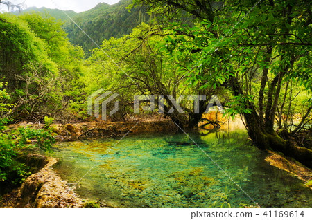 黃龍 黃龍 41169614