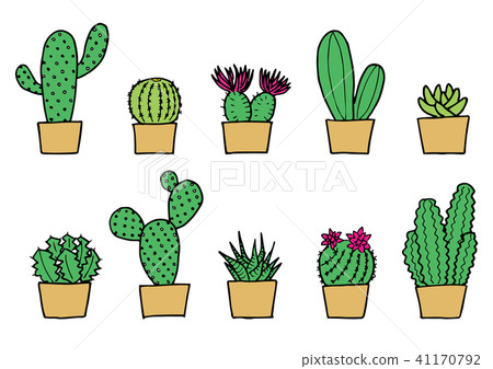 Cactus illustration set (color) 41170792