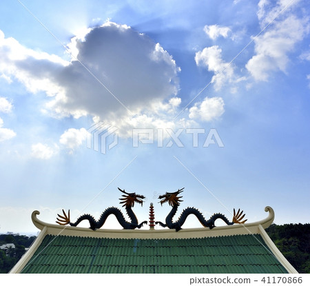 Taigyo Temple's Dragon 41170866