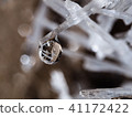 Hydroite and water droplet 41172422