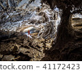 Luo Han Hole 41172423
