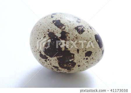 Quail eggs Quail eggs 41173038