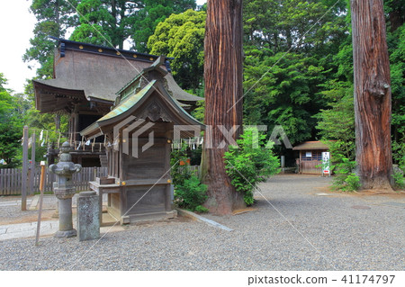 Kashima Shrine temporary temple 41174797