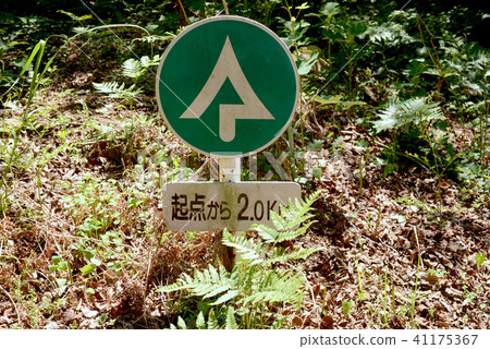 森林路標 森林路標 41175367