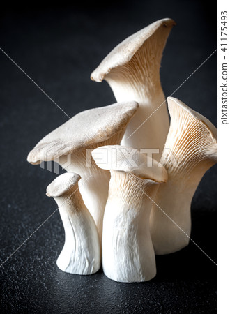 King oyster mushrooms 41175493