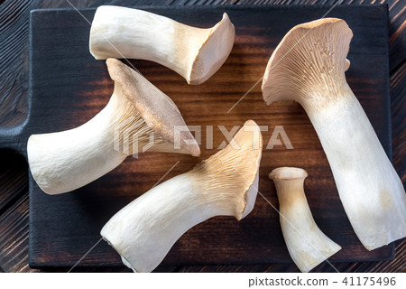 King oyster mushrooms 41175496
