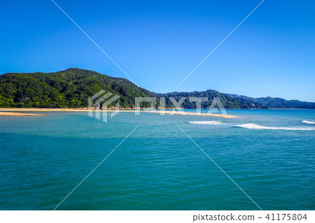 Abel Tasman National Park, New Zealand Abel Tasman National Park, New Zealand 41175804