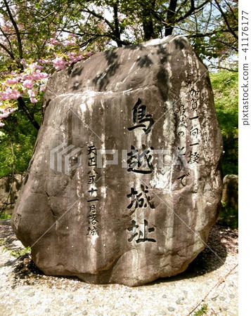 Torigoe castle 41176177