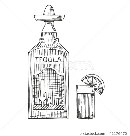 Sketch of a bottle of tequila, glasses Sketch of a bottle of tequila, glasses 41176470