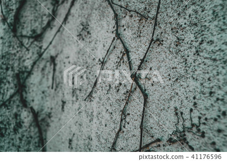 texture of a concrete wall 41176596