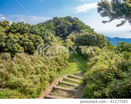 [Izu] Plateau scenery in early summer [Around Izuyama Ridge Sidewalk, Mt. Daruma] 41177265