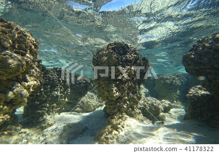 Stromatolite Stromatolite 41178322