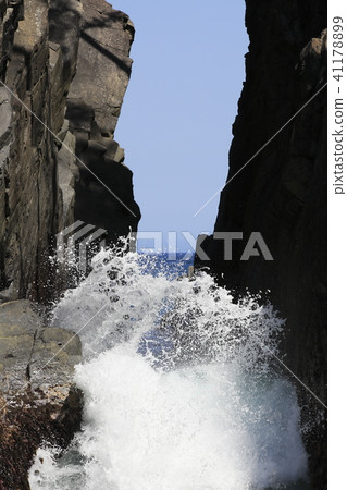 "Miyagi prefecture" early summer Kanazaki (Sanriku reconstruction national park) 41178899