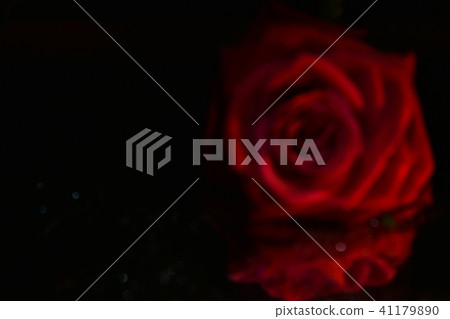 玫瑰背景材料模糊 玫瑰背景材料模糊 41179890