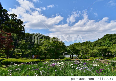 Yakushiya Park Park Flower of the Showa Field 41179935