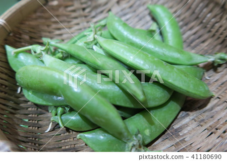 Pea Pea 41180690