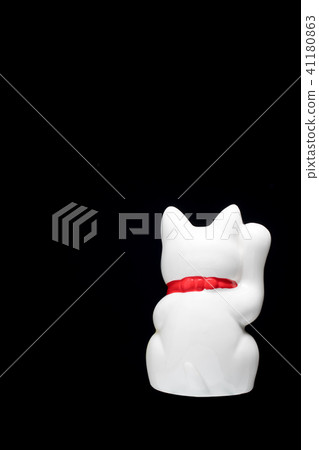 Lucky Cat 41180863