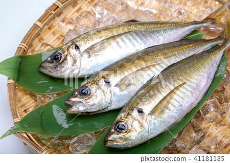 亞洲食用魚 41181185