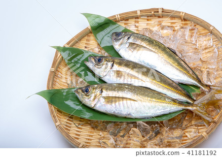 Asian Food Fish 41181192
