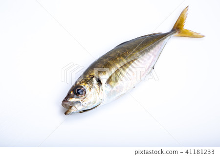 Asian Food Fish 41181233