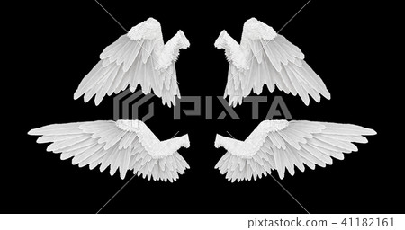 3D render White angel wings with on an black background 3D render White angel wings with on an black background 41182161
