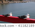 Sea bird pair 41182189