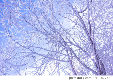 Hyperbowl Higashi-bot ski resort from the top to Takosuboyama (Hyogo prefecture adoptive father city shrine) * shooting position in the work comment field 41182758