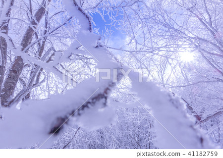 Hyperbowl Higashi-bot ski resort from the top to Takosuboyama (Hyogo prefecture adoptive father city shrine) * shooting position in the work comment field 41182759