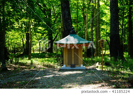 千英俊的海灘 41185224