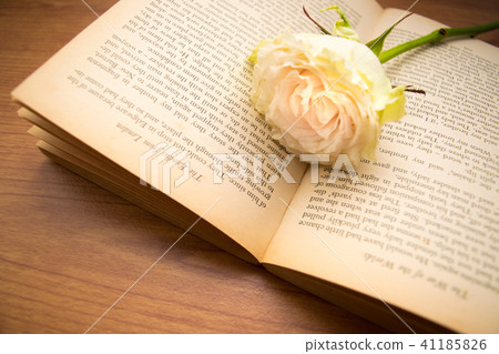 古董外國書籍和玫瑰 41185826
