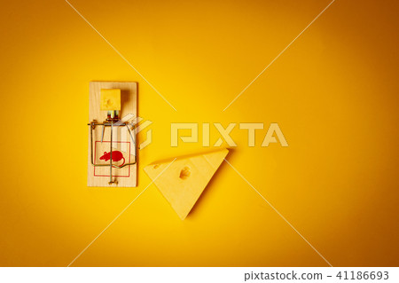 yellow background with a mousetrap and cheese yellow background with a mousetrap and cheese 41186693