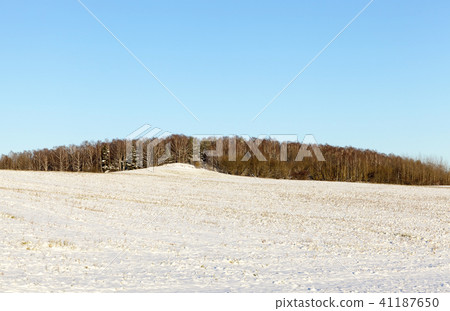 land covered with snow land covered with snow 41187650