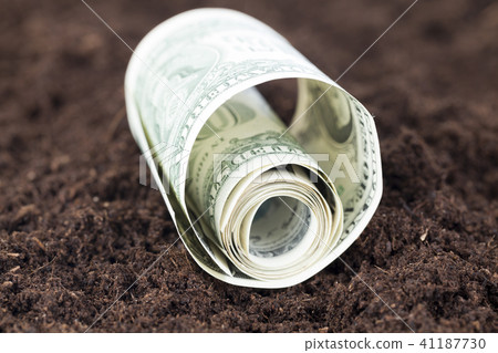 twisted American dollar 41187730